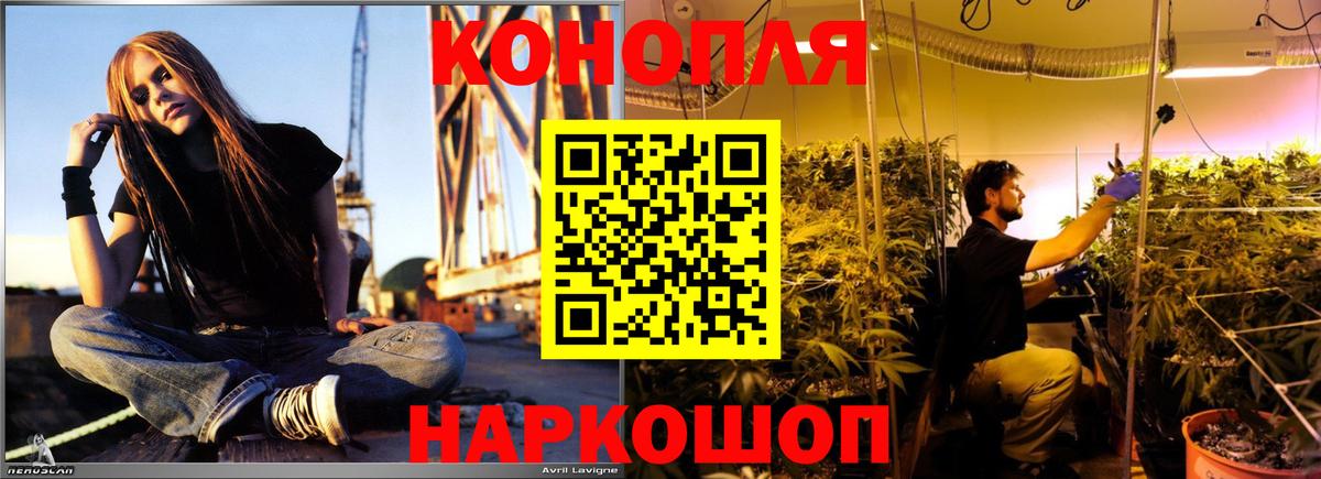 Конопля планчик Костомукша